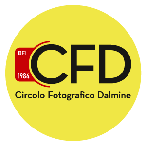 CFD Contest Online